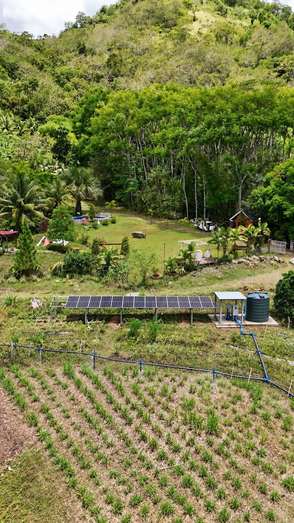Solar-powered water pump irrigating a field